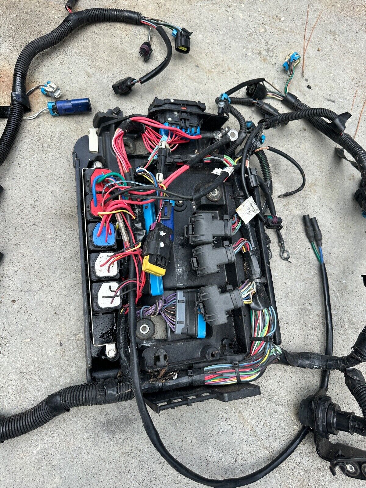 Mercury 135 150 175 200 HP L4 Verado Engine Wire Wiring Harness 892579T12 - Fishhawk MarineeBay Motors:Parts & Accessories:Boat Parts:Outboard Engines & Components:Electrical Systems
