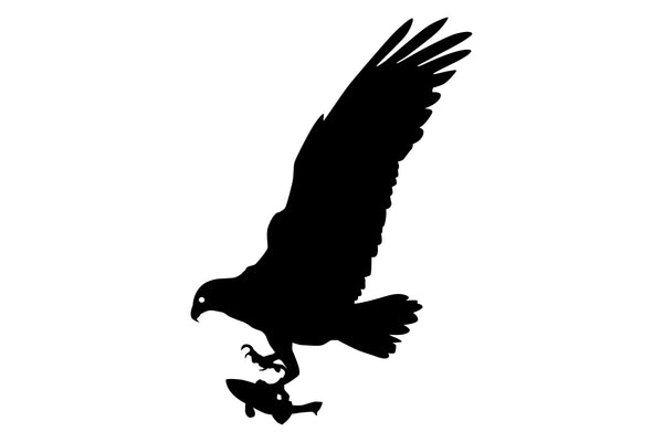 Fishhawk Marine logo
