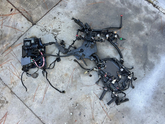 2005 Yamaha 250HP 3.3L 4 Stroke Outboard Engine Wiring Harness 6P2 - 82590 - 30 - 00 - Fishhawk MarineeBay Motors:Parts & Accessories:Boat Parts:Outboard Engines & Components:Electrical Systems