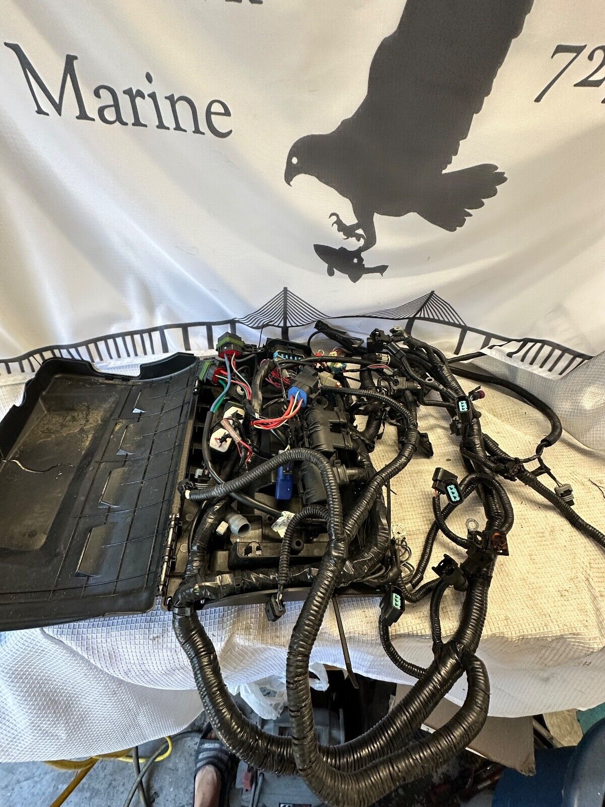 Mercury Outboard 350 400 400r 300 Pro Verado Wire Harness Electrical 8M00044581 - Fishhawk MarineeBay Motors:Parts & Accessories:Boat Parts:Outboard Engines & Components:Electrical Systems