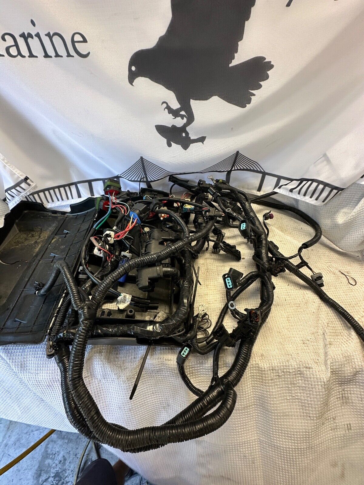 Mercury Outboard 350 400 400r 300 Pro Verado Wire Harness Electrical 8M00044581 - Fishhawk MarineeBay Motors:Parts & Accessories:Boat Parts:Outboard Engines & Components:Electrical Systems