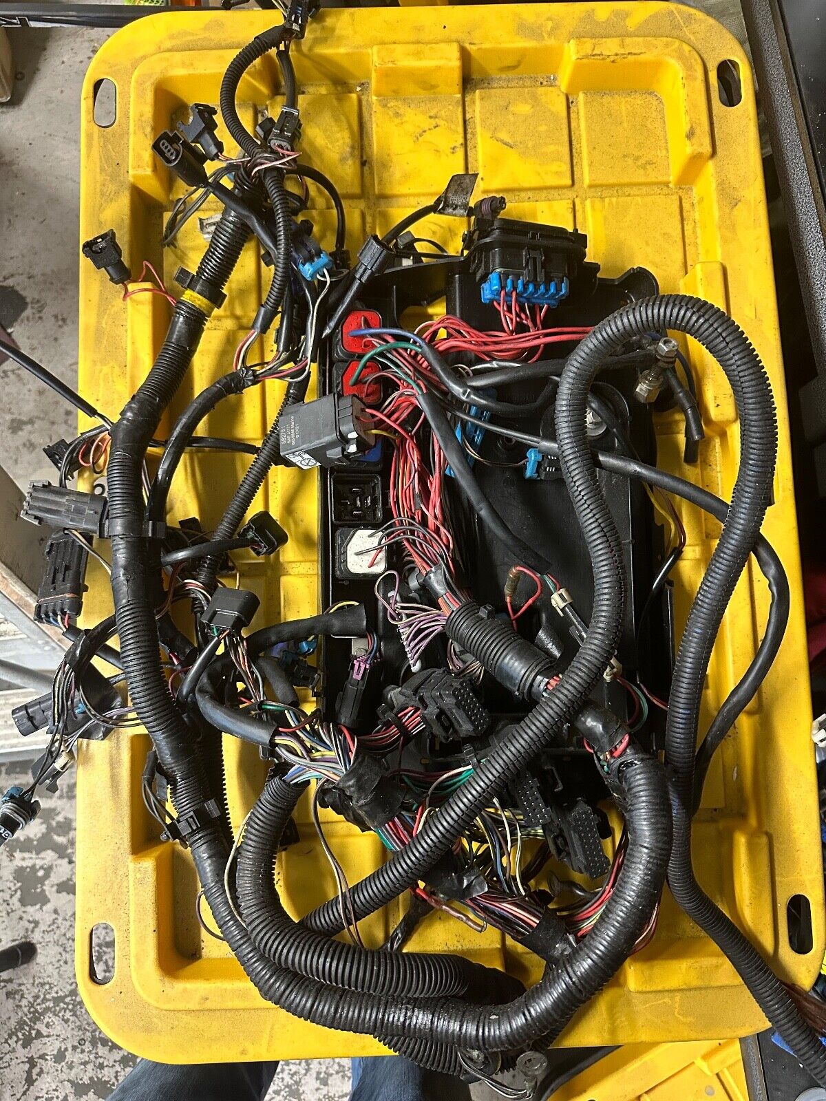 2006 Mercury Verado 275 L6 ENGINE WIRING HARNESS Outboard Motor ...